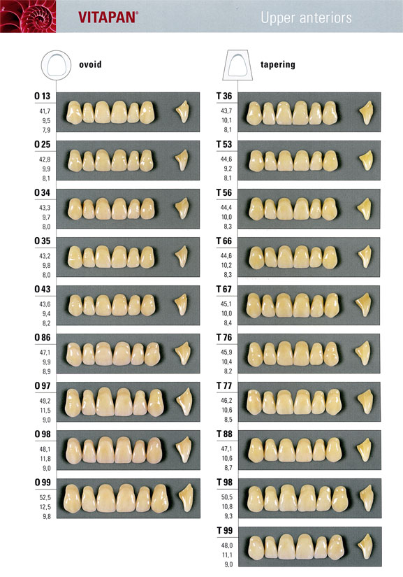 Vita Teeth Mould Chart