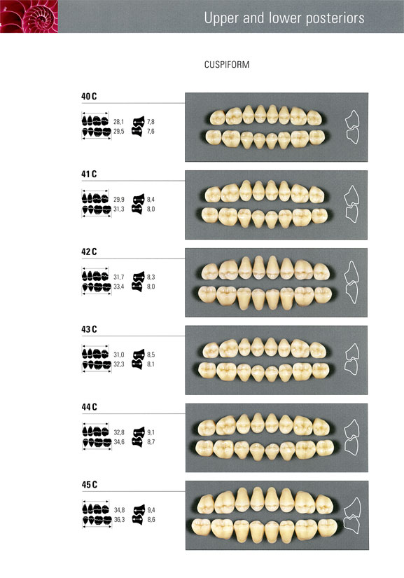 VITA mold chart.